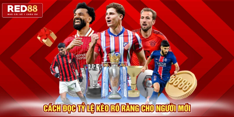 Cách đọc tỷ lệ kèo rõ ràng cho người mới