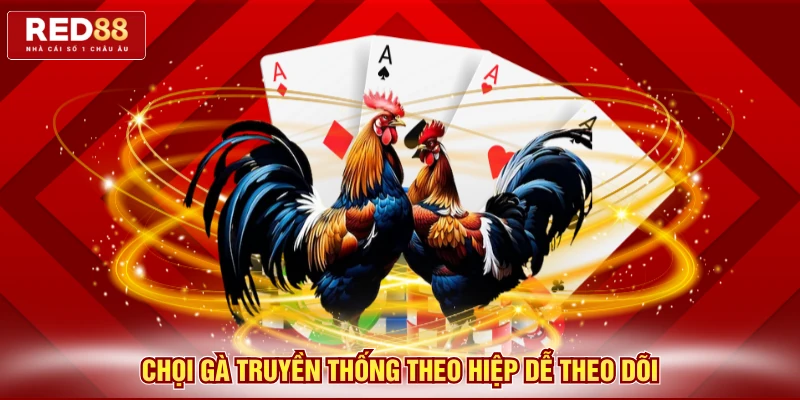 Chọi gà truyền thống theo hiệp dễ theo dõi
