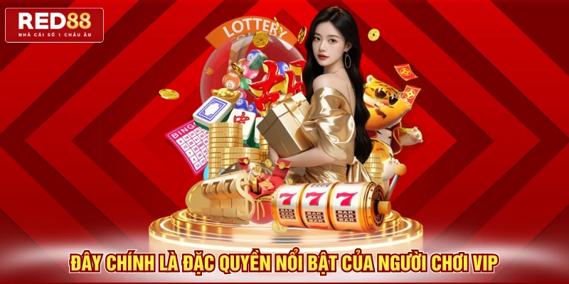 Đây chính là đặc quyền nổi bật của người chơi VIP