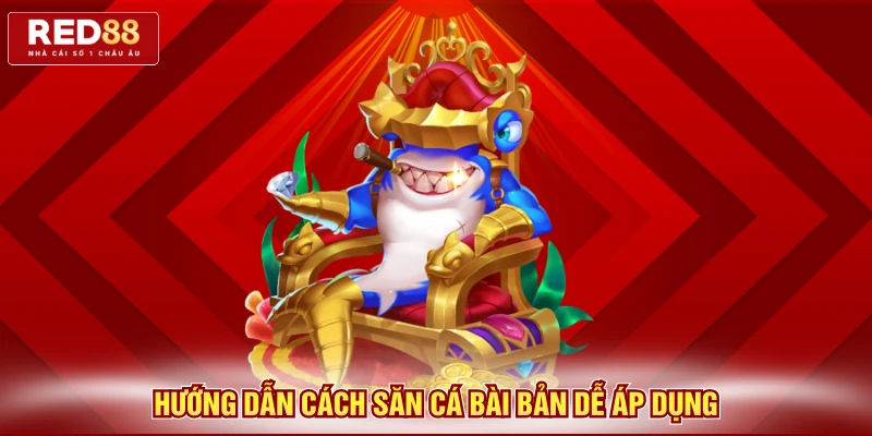 Hướng dẫn cách săn cá bài bản dễ áp dụng