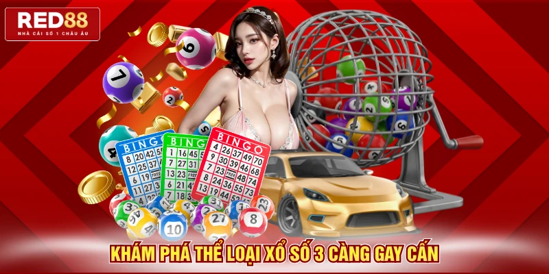 Khám phá thể loại xổ số 3 càng gay cấn