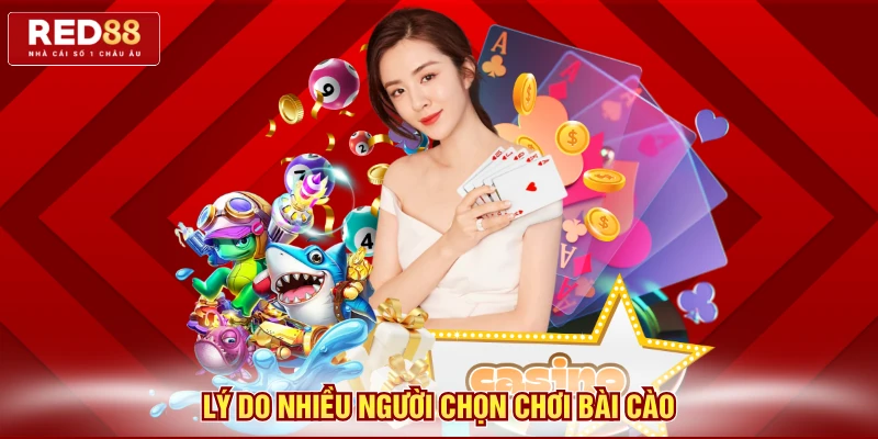 Lý do nhiều người chọn chơi bài cào
