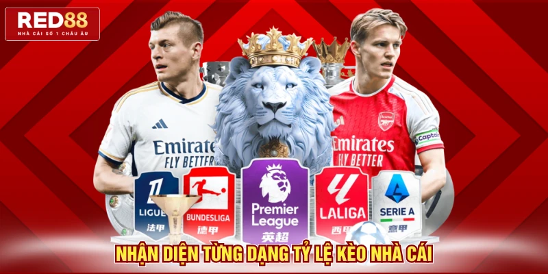 Nhận diện từng dạng tỷ lệ kèo nhà cái