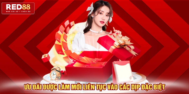 Ưu đãi được làm mới liên tục vào các dịp đặc biệt