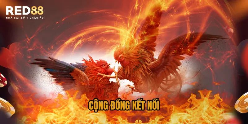 cong-dong-ket-noi (1)