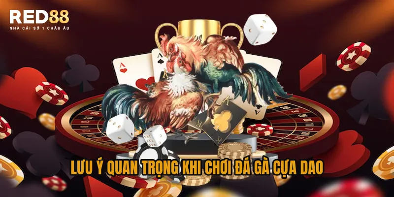 Lưu ý quan trọng khi chơi đá gà cựa dao