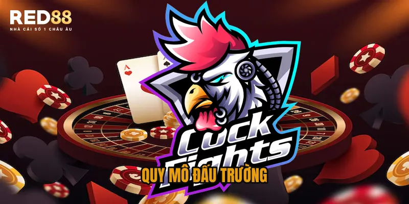 Quy mô đấu trường